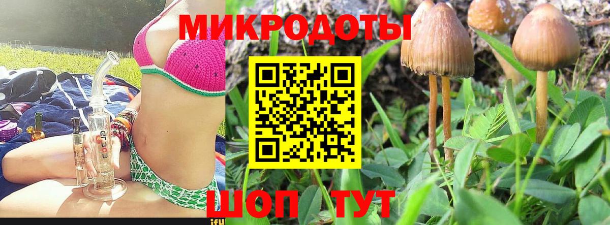 Галлюциногенные грибы мицелий Набережные Челны